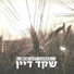 Shaked Dayan