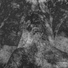 dakami
