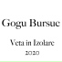Gogu Bursuc