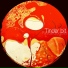 Pascal Doguet