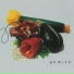 The Vegetable Orchestra