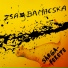 ZságbaMacska