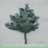 Musica de Navidad Ranura