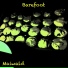 Maiwald