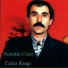 Nurettin Ciziri