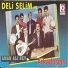 Deli Selim ve Arkadaşları