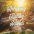 Elements of Relaxation