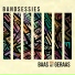 Bandsessies feat. Hetero Julio & The Gogetters