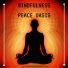 Mindfulness Peace Oasis