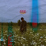 последний рассвет