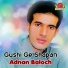 Adnan Baloch