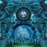 Spirit Molecule, Metaform