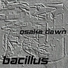 Bacillus