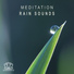 Meditation Zen Master