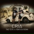 Tiago Testa feat. Renato Da Rocinha