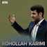 Rohollah Karimi