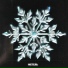 спутник, Icy Eye