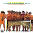 Julius Wechter And The Baja Marimba Band