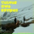 Velvet Two Stripes