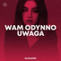 Wam Odynno