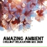Electro Lounge All Stars, Relaxation Ambient