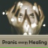 Pranatherapeutic Maestro