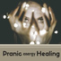 Pranatherapeutic Maestro