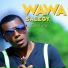 Wawa Salegy