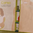 L'orso