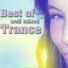 Terk Dawn