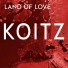 Henrik Koitz