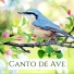 Naturaleza & Armonia Florez