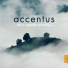 Accentus, Laurence Equilbey