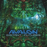 Avalon, Cosmosis