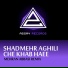 Shadmehr Aghili