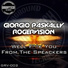 Giorgio Paskally, RogerVision