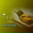 Mujib Pardeshi