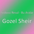 Firdovsi Resul - Bu Aralar