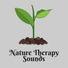 Nature Sounds Artists