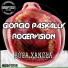 Giorgio Paskally, RogerVision