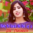 Dil Nasheen