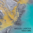 Miguel Larosa