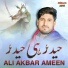 Ali Akbar Ameen