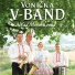 Vonička V-Band