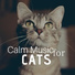 Calm Music Sound