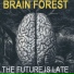 Brain Forest