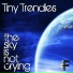 Tiny Trendies