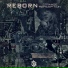 Reborn