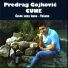 Predrag Gojkovic Cune