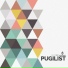Pugilist
